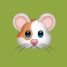 hamster69586619's profile picture. Everyday is so happy (⁠＾⁠∇⁠＾⁠)⁠ﾉ⁠♪