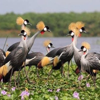 PecosJm's profile picture. worry less,smile more!