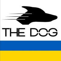 team the Dog(@davaysasha) 's Twitter Profile Photo