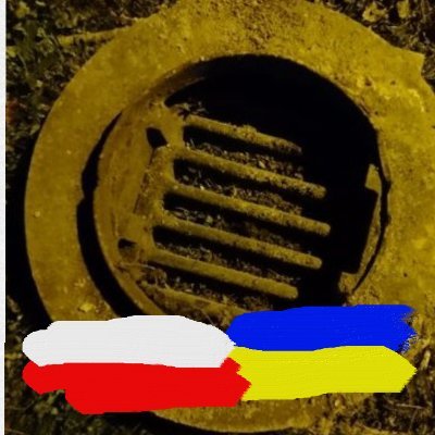 niezborny's profile picture. Róża jest różą, jest różą, jest różą.