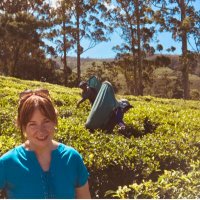 fionawood64 (@fionawood64) 's Twitter Profile