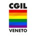 Cgil Veneto (@cgilveneto) Twitter profile photo Cgil Veneto (@cgilveneto) Twitter profile photo