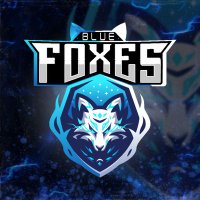 Blue Foxes™ (@foxestm) 's Twitter Profile