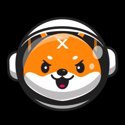 SpaceXDoge