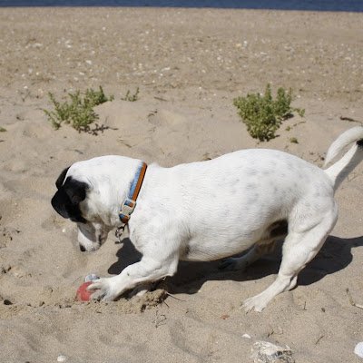 Rocky489543's profile picture. 