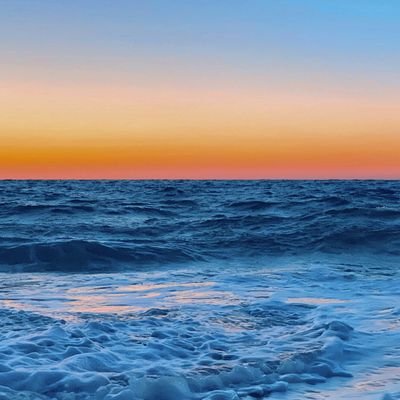 marie24365's profile picture. 🦋