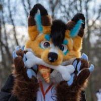 Bambilijas (@bambilijas) Twitter profile photo