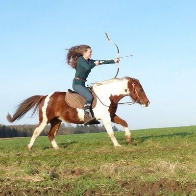 LariMaja's profile picture. Freizeitreiterin, Hobbyfotograf, Freigeist
HdR & Mittelerde ❤ 
#LaFamilia 20.06.2035 ❤ 
Geographie Studentin 
https://t.co/KIa1tcOgrL