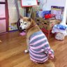 omchi914's profile picture. 写メやら保存等禁止で🈲 いつでもどこでもマイペース。フランクすぎてどうしようか。ニュータイプの不適合量産型。 ムック、ディル…音源派になってしもた。 🧠推し&石活& JB村雨推し。モンハン、あつ森…ゲームも好き。タトゥーボディピ派手髪好き。