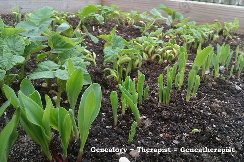 Genealogy + Therapist = Geneatherapist
Using quality genealogy to find meaning and create change