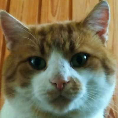 marnov042's profile picture. ''Twitter is not a toxic place'' 🙃