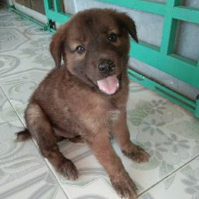 kellogs001's profile picture. hahahahaha