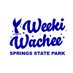 Weeki Wachee Springs State Park 🧜🏻‍♀️ (@WeekiWacheeSpgs) Twitter profile photo