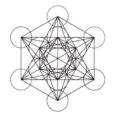 seesharp16's profile picture. 仮想通貨botter一年生