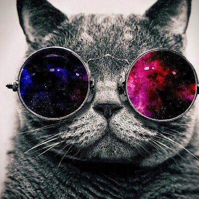 EgonOls17170532's profile picture. 