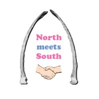 NorthMeetsSouth (@northmeetssout4) 's Twitter Profile Photo