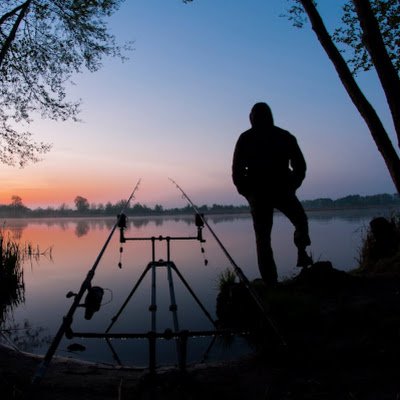 pszynka81's profile picture. 