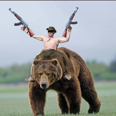 shyara_chinmay's profile picture. 