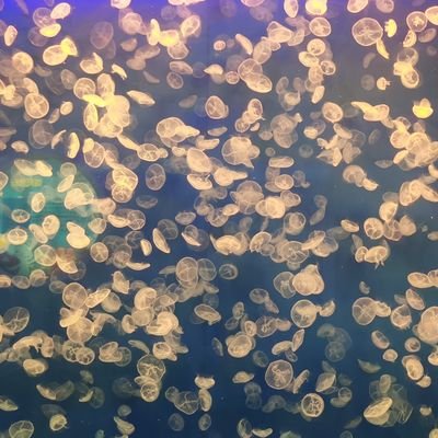 Lee65964259's profile picture. 