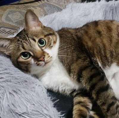 AauiO1CBi5wbqmA's profile picture. スポーツが趣味です。バレーボールやってます。