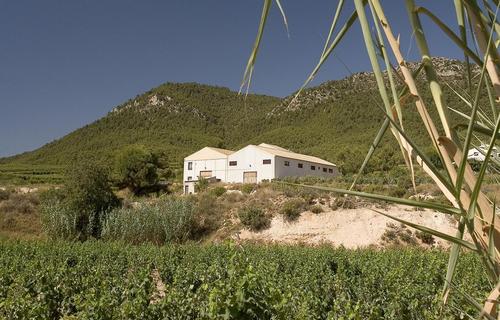 Bodega familiar fundada en 1998 bajo la D.O. de Bullas. Ubicada a pie de viñedo, en el valle del Aceniche.
Spaniard winery established in 1998.