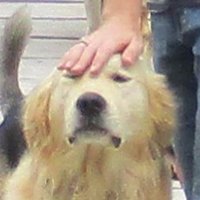 ohnepixelping (@ohnepixelping) 's Twitter Profile