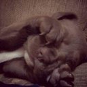 Karim Camacho damian - @KarimCamachoda1 - Twitter