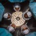 UChicago Surgery Diversity, Equity, and Inclusion (@uofcsurgerydei) Twitter profile photo UChicago Surgery Diversity, Equity, and Inclusion (@uofcsurgerydei) Twitter profile photo