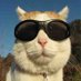 Jakub Tomšů (@jakubtomsu_) Twitter profile photo Jakub Tomšů (@jakubtomsu_) Twitter profile photo