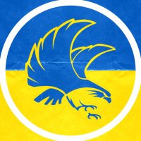 Arctic Falcons (@falconsarctic) 's Twitter Profile Photo Arctic Falcons (@falconsarctic) 's Twitter Profile Photo