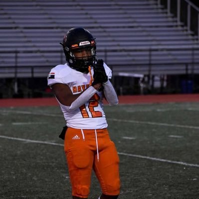 Hayfield Hawks Football (2022) Hayfield Hawks Baseball (2022) Unfinished Product More to come
