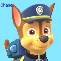 chase (@chase5486) 's Twitter Profile