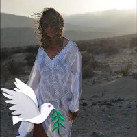 dr. olga capirci (@olgacapirci) 's Twitter Profile