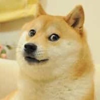 Monaco1406's profile picture. Student.
sports lover.
intrested in facts and gk.
Geopolitics ✌️
Interested in science.