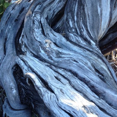 circlesonwater's profile image
