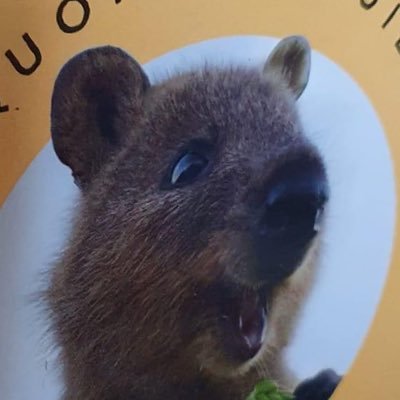 cadub172's profile picture. อยากทีความสุขเหมือนตัวในรูปโปร💖