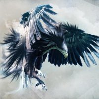 web3illusionist (@web3illusionist) 's Twitter Profile