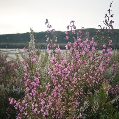 DrRealThought's profile picture. 