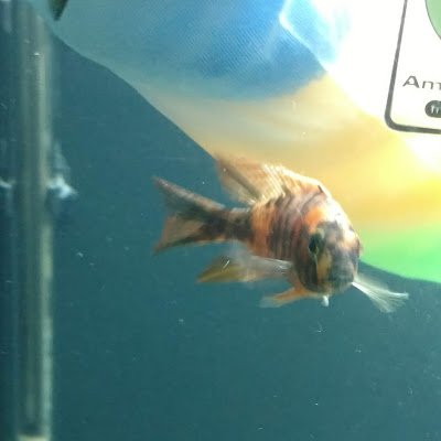 matt_edgerton's profile picture. 