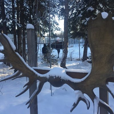 William54684537's profile picture. 