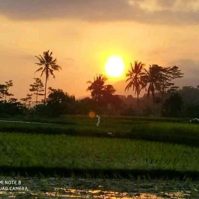 JoniTembessrai3's profile picture. 