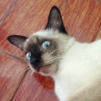 Allex619916's profile picture. sleep tight