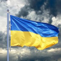 lisa ray (@lisaray30441878) 's Twitter Profile Photo