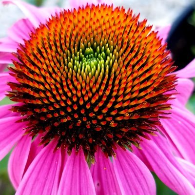 SummerBreeezz's profile picture. 