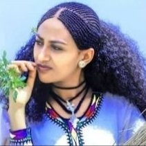 tigray_power14