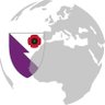 RCEMGlobal's profile picture. The @RCollEM Global EM committee is responsible for 🌏 college networking, promoting EM 🌍, & developing global health expertise in the college