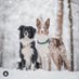 𝓸𝓾𝓻 𝓽𝓪𝓲𝓵𝓼 (@lifeofourtails) Twitter profile photo 𝓸𝓾𝓻 𝓽𝓪𝓲𝓵𝓼 (@lifeofourtails) Twitter profile photo
