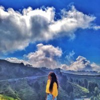 Seetaya (@seetaya3) 's Twitter Profile