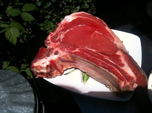 JWGS5's profile picture. chap