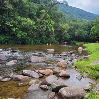 eu_euzin03's profile picture. 